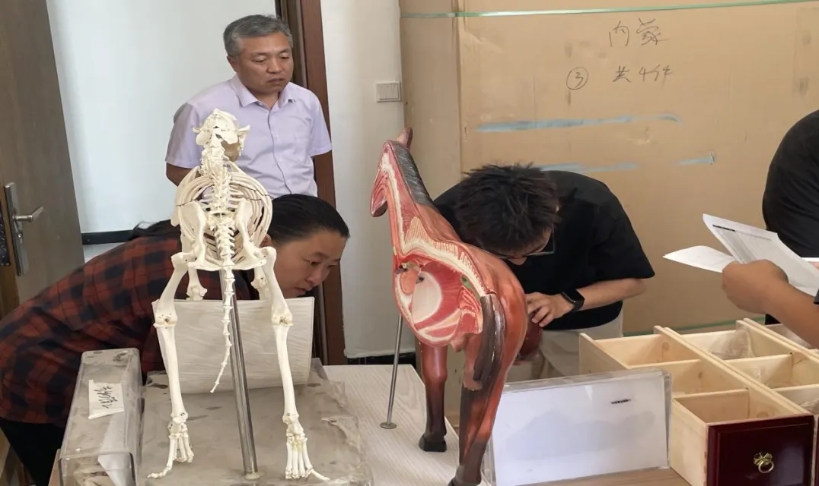 微信截图_20250708231144.png